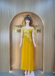 DH014B - ÁO DÀI DẠ HỘI